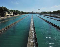 ���̰���