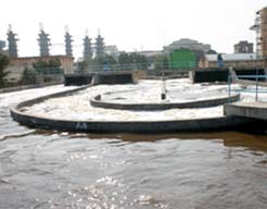 ���̰���