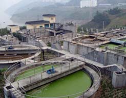 ���̰���